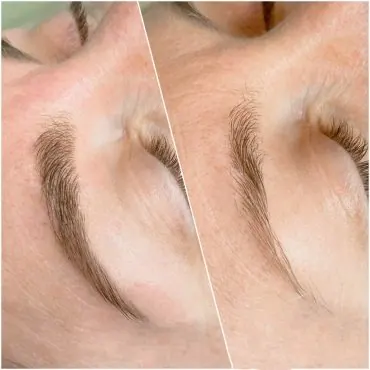 Eyebrow Wax & Tint Sydney